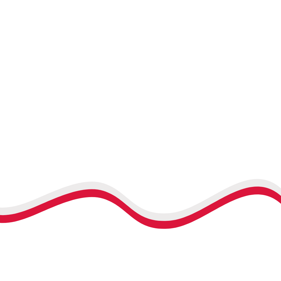 Polish Aviation Network